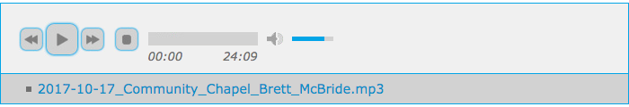 screenshot example of an audio file