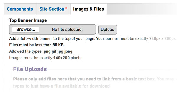 images and files tab on component pages - screenshot