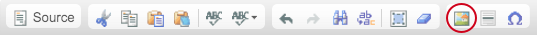 The image button in the text editor