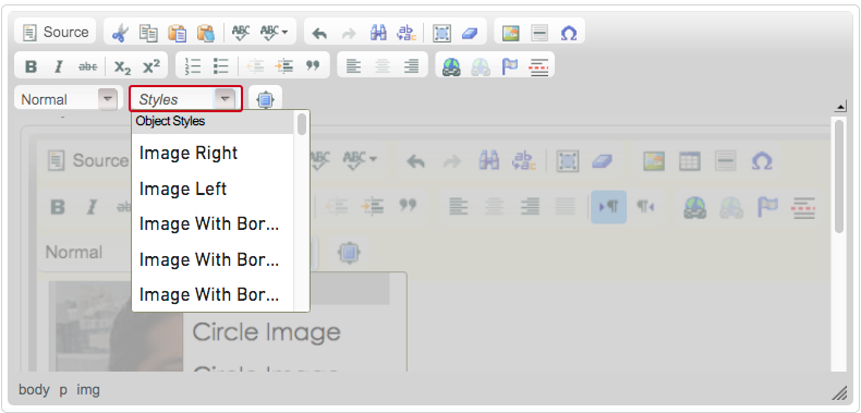 Image styles in the text editor